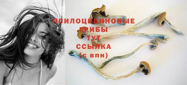 кокаин Новозыбков