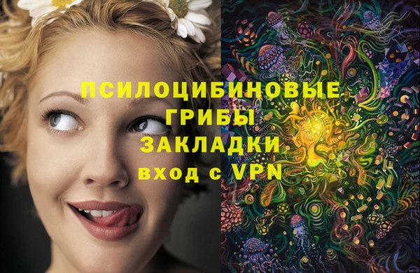кокаин Новозыбков