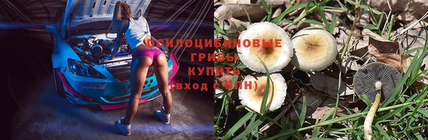альфа пвп Новодвинск
