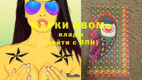 альфа пвп Новодвинск